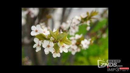 芒果月光寶盒開(kāi)博爾H10評(píng)測(cè):配最新秋香系統(tǒng)